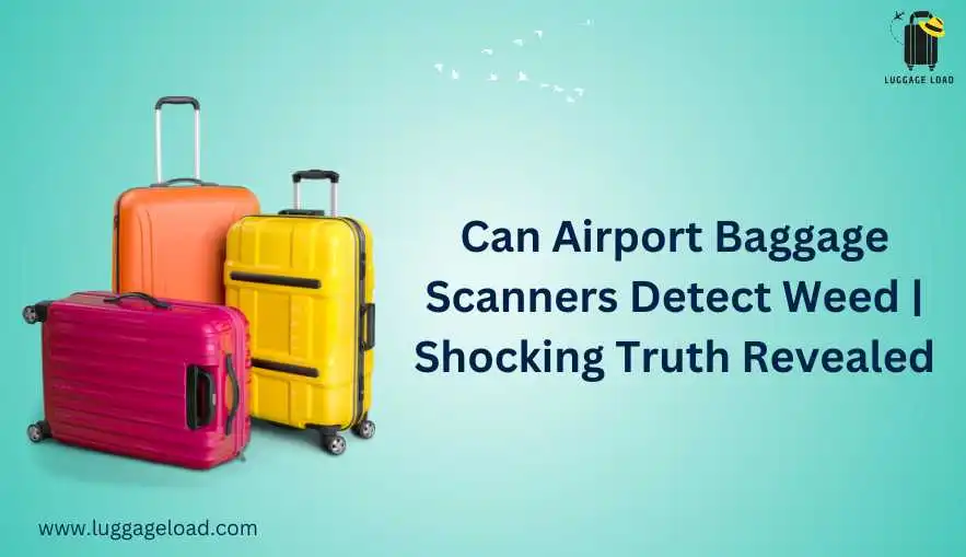 Can Airport Baggage Scanners Detect Weed | Shocking Truth Revealed