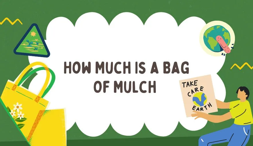 How Much Is a Bag Of Mulch | The Shocking Truth Revealed